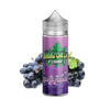 Buy bulk wholesale Amazonia 100ml Shortfill Blackcurrant