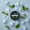 Buy bulk wholesale Garant Nicotine Pouches - Pack of 10 Fresh Mint