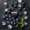 Buy bulk wholesale Garant Nicotine Pouches - Pack of 10 Ice Blue Berry