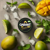 Buy bulk wholesale Garant Nicotine Pouches - Pack of 10 Mango Lime