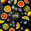 Buy bulk wholesale Garant Nicotine Pouches - Pack of 10 Citrus